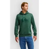 Quiksilver Comp Logo Hoodie forest Gr. XS