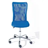 Generisch Bürostuhl Ergonomisch - Höhenverstellbare Rückenlehne, verstellbare Lendenstütze, Blau/Silber