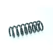 CS Germany Fahrwerksfeder 30110367 Hinterachse für MERCEDES-BENZ CHRYSLER