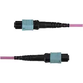 StarTech.com .com 2m MTP/MPO Glasfaserkabel, 12F Type-B, OM4 Multimode MTP/PC Buchse LWL Patchkabel, 50/125µm, OFNP Plenum, MTP-12 Glasfaser Jumperkabel, 2 m, OM4, MPO/MTP, MPO/MTP