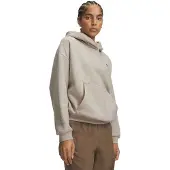 Under Armour Icon Fleece Hoodie brown timberwolf taupe (204) XXL