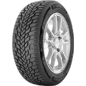 Starmaxx Polarmaxx 185/55 R15 82H Winterreifen