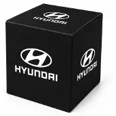 Hyundai Bike Träger Anhängerkupplung original 55701SBA21 OE