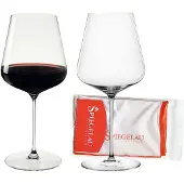 Spiegelau Definition Bordeaux glas 2er Set + Poliertuch