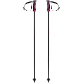 Völkl Phantastick Frau Pole