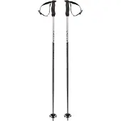 Völkl Phantastick 18mm Stöcke