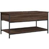vidaXL Couchtisch Braun Eichen-Optik 100x50x50 cm Holzwerkstoff Metall