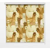 Tulup INNENROLLO - Fensterrollo - Rollo - 140x140 cm - Alpakaherde