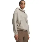 Under Armour Icon Fleece Hoodie brown timberwolf taupe (204) XL