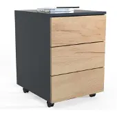 Ebuy24 Rollcontainer Beistellcontainer Dalosa