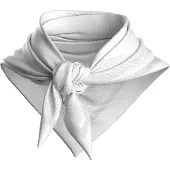 Compressport - Stayfresh Ice Bandana - Halstuch Gr One Size weiß/grau
