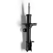 Monroe Stoßdämpfer 11291 für DAEWOO