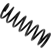 BILSTEIN Fahrwerksfeder 36277292 Hinterachse für FORD
