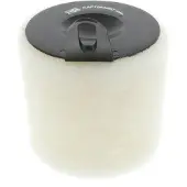 Champion Luftfilter caf100458c Filtereinsatz 195mm für BMW (BRILLIANCE)