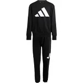 Adidas Essentials Joggers Set