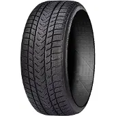 Gripmax Status Pro Winter 255/40 R21 102V XL Winterreifen