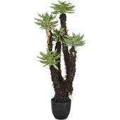 Creativ Green Kunstpflanze "Dudleya" mit naturgetreuer Gestaltung
