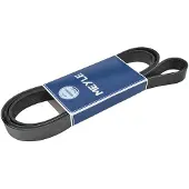 Meyle Keilrippenriemen 0500072035 für CHRYSLER MERCEDES-BENZ JEEP