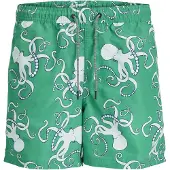 Jack & Jones Fiji Aop Badeshorts