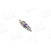 AIC Ventilkern, Serviceventil 71323 für BMW VAG