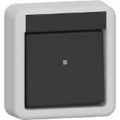 Gira IP44 Zwei-Pole Aufputz Kippschalter Grau - 310235