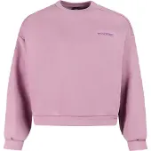 Protest Prtharty Sweatshirt valerianlilac (275) M/38