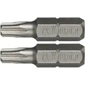 Luna Torx-Bit mit Bohrung TX25 2Stk.