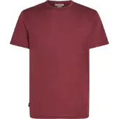 Icebreaker Merino 150 Tech Lite Iii Kurzarm-t-shirt