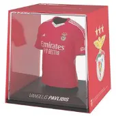 Fancollex MyJersey – Benfica Heimtrikot 2024/25, getragen von Vangelis Pavlidis