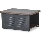 AEA Couchtisch Rechteck Form Arbeitszimmer Schwarz Modern Einfarbig Regal