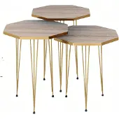 AEA Elegantes braunes Couchtisch-Set aus Holz und Edelstahl