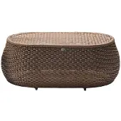 AEA Couchtisch Braun Luxus Hochwertig Möbel Modern Terrasse Design Rattan Oval