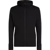 Icebreaker Merino 260 Quantum Zip-Hoodie Fleecejacke Herren schwarz