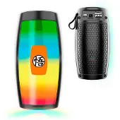 Reig Mb6600 Bluetooth-lautsprecher