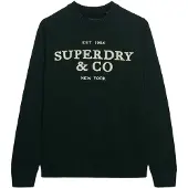 Superdry für Herren. M6110788A Jersey Applique grün (L), Lässig, Baumwolle