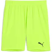 Puma Herren teamGOAL Shorts Gestrickte Shorts, Green Glare-Black