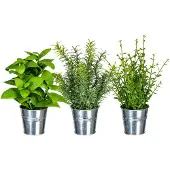 Creativ Green "Kräutermix im Zinktopf"