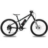 AMPERUM ben-e-bike TWENTYFOUR E-Power PRO black edition