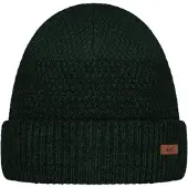 Barts Ail Beanie bottle green (13)