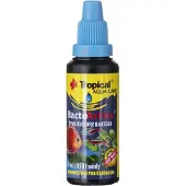 Tropical Bacto-Active 2x30ml