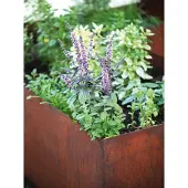 Saremo Edelrost Hochbeet, Länge 110 cm, Breite 60 cm, Tiefe 60 cm