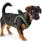 Hunter Pet Comfort Dog Hundegeschirr