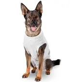 Flamingo Body Protector Hundejacke
