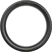 Pirelli Scorpion Race XC RC gold 29x2.4 ProWall