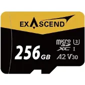 EXASCEND Catalyst UHS-I Micro 256 GB Speicherkarte