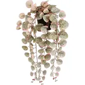 Mica Decorations Ceropegia Woodii Collar De Corazones Rosa Künstliche Pflanze