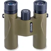 Carson Optical Carson Stinger 10x25