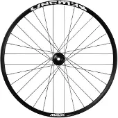 Mavic Hinterrad Deemax Park INT29BSTHG