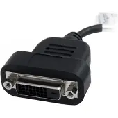 StarTech.com Aktiver Displayport-auf-dvi-adapter