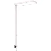 MAUL LED-Klemmleuchte MAULjura, weiß, Aluminium, dimmbar, 100 cm